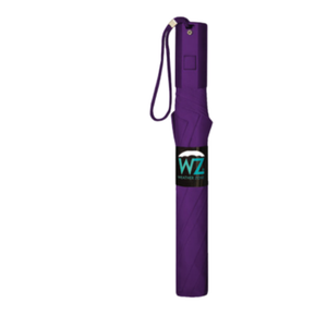 Wholesale Auto Folding Solid Assortment Economy Umbrella