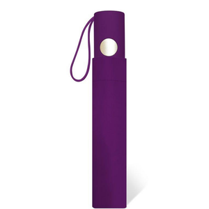 Wholesale Auto Open Pastel Colors Matching Sleeve Assorted Umbrella