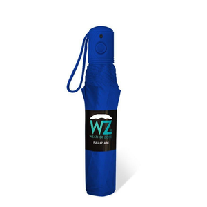 Wholesale Auto Open Vibrant Solid Colors Assorted Umbrella