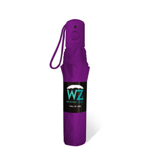 Wholesale Auto Open Vibrant Solid Colors Assorted Umbrella