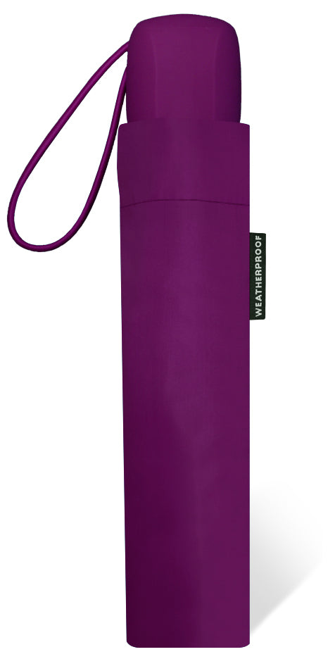 Weatherproof Manual Open Mini Vibrant Assorted Umbrella