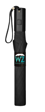 Wholesale Automatic Open Frame Promo Black Umbrella