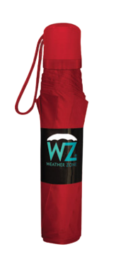 Wholesale Manual Open Solid Color Everyday Assorted Umbrella